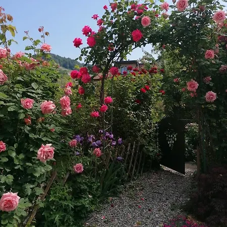 7e Art Bed and Breakfast 4*