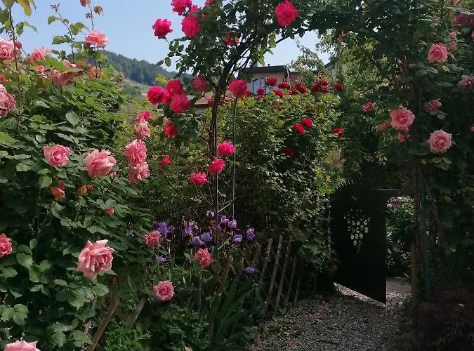 7e Art Couette-café 4*